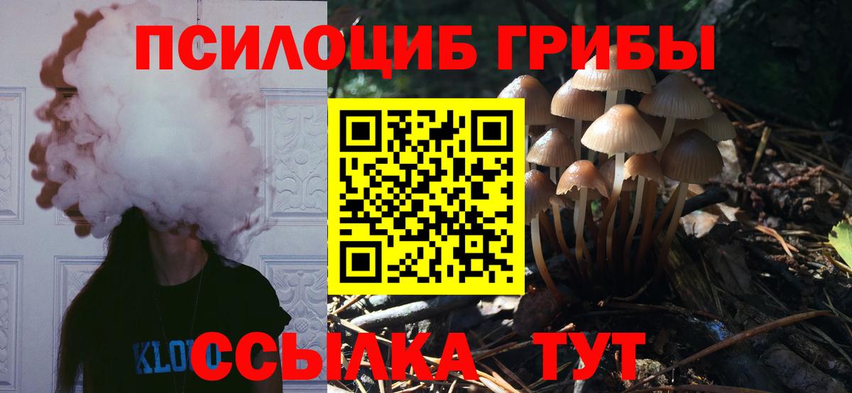 Галлюциногенные грибы мицелий Корсаков