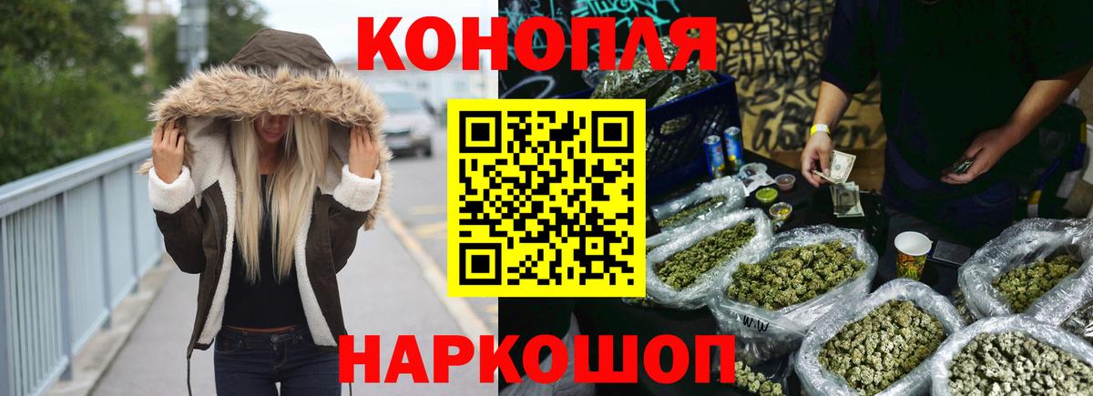 Канабис семена Корсаков